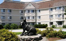 Black Bear Inn, An Ascend Collection Hotel